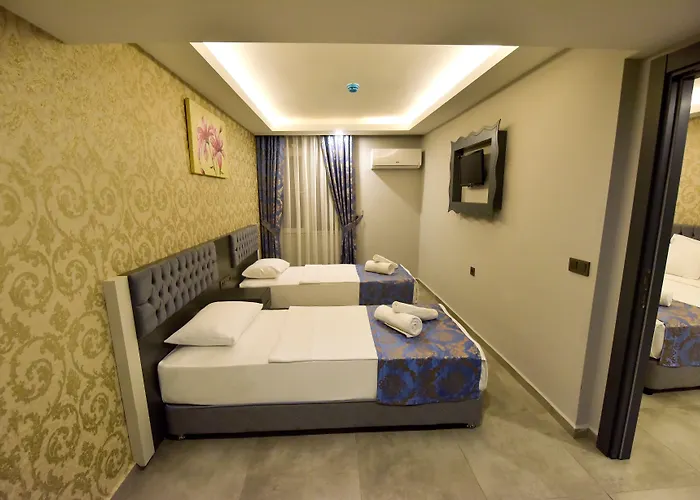 Erdem 3*