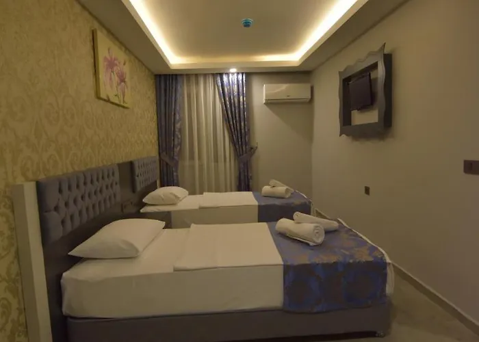 Erdem 3*